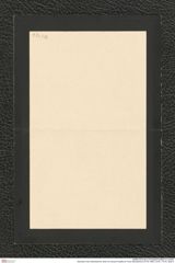 Nachlass Franz Steindachner, Brief von Eduard Graeffe an Franz Steindachner (07.04.1904), Inv.Nr. 173.42, Seite 4